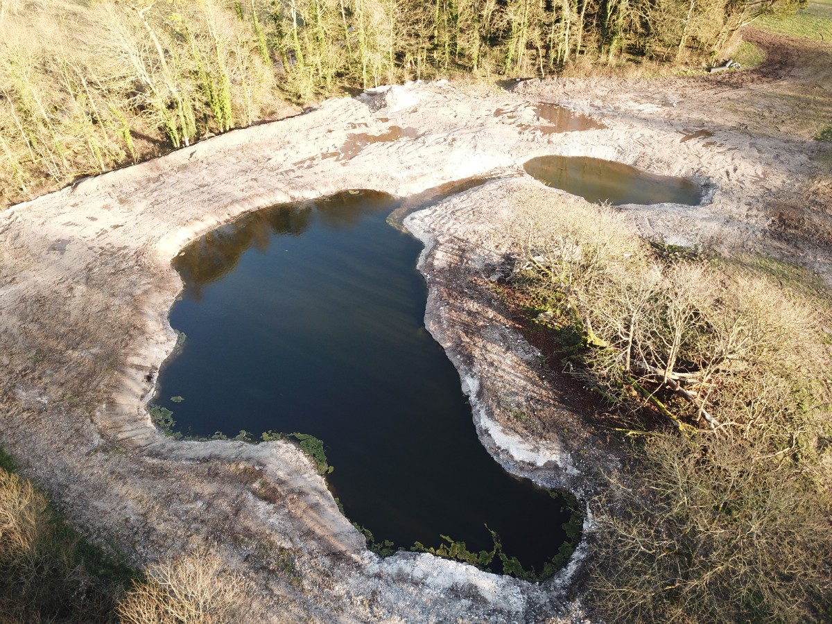 River Test - Bossington Test reborn, Feature 3 - Cain Bio Engineering