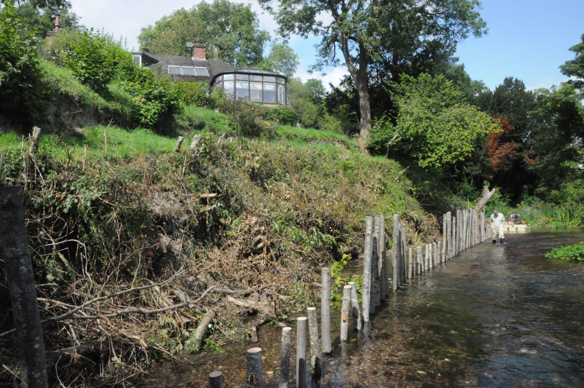River Avon - Geotechnical bank stabilisation - Cain Bio Engineering