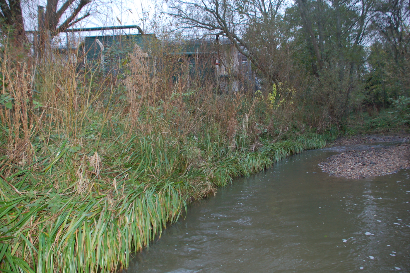 River bank protection on the undercut bank of the River Char